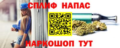 сатива Бузулук