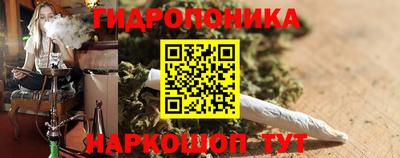 индика Будённовск