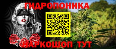 сатива Бузулук